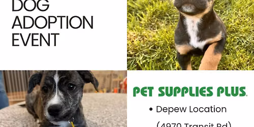 In-Store Adoption Event \ud83d\udc36