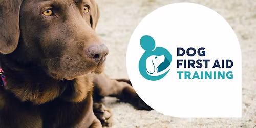 Lewes Dog First Aid Workshop