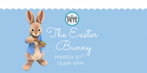 Easter Bunny Pictures \ud83d\udc30