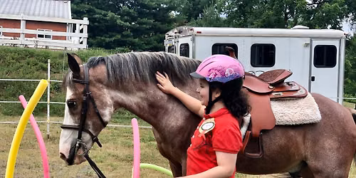 Beginner Horse-Enthusiast Class