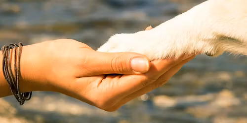 Pet Loss & Grief Support Group