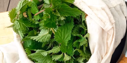 Atelier Cuisine Sauvage