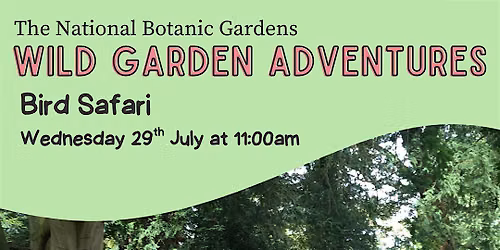 Wild Garden Adventures: Bird Safari