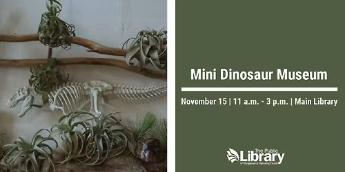 Mini Dinosaur Museum