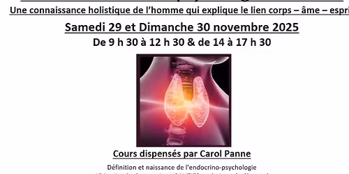 Bases de l\u2019endocrino-psychologie \u2013 Niveau 1