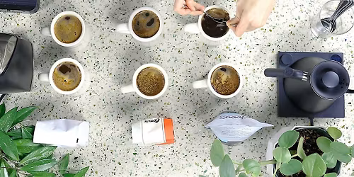 Taste the Origin: El Salvador Cupping Experience