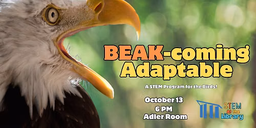 STEM at the Library: BEAK-coming Adaptable 