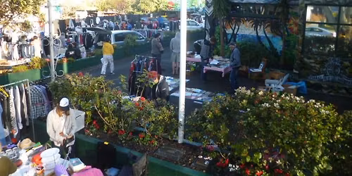 Grey Lynn Car Boot Market - May 31st 2026