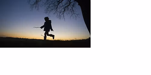 Family Event: A Wilder Christmas at West Blean and Thornden Woods