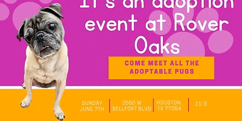Rover Oaks Houston - Adoption Event