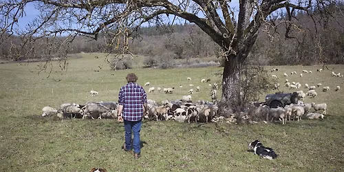 Visite de l'AFP et performance ethnomusicale Domestication R\u00e9ciproque