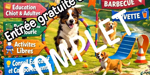 Un petit jour canin Chez Eduka'dog