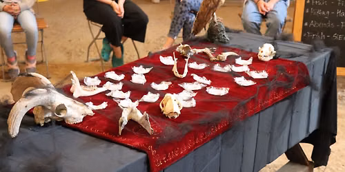 Vampir Camp