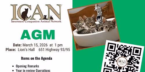 Annual General Meeting