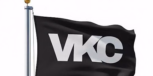 VKC Juneteenth Show