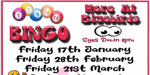Bingo @ Bluebird Social Club