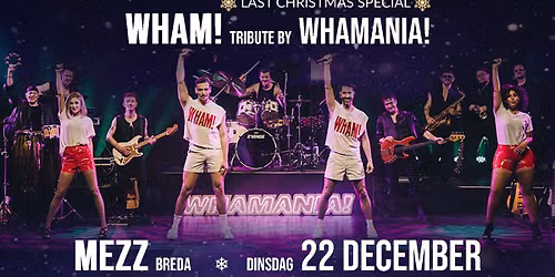 Last Christmas Special by WHAMANIA!