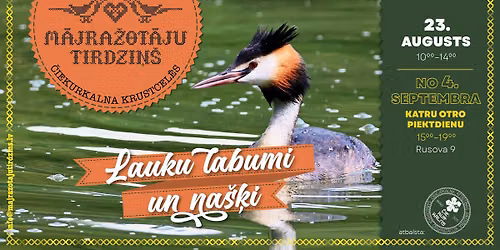 M\u0101jra\u017eot\u0101ju tirdzi\u0146\u0161 \u010ciekurkalna krustcel\u0113s
