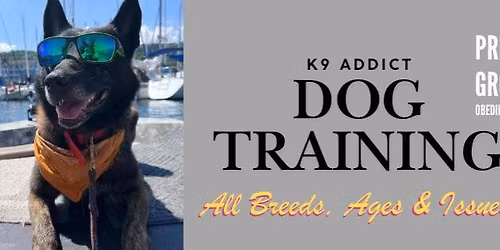 AKC Urban Canine Good Citizen Class- Binghamton NY