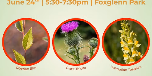 Invasive Plant Species Workshop