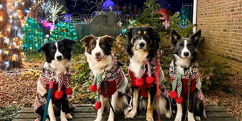 GardenFest For Fidos