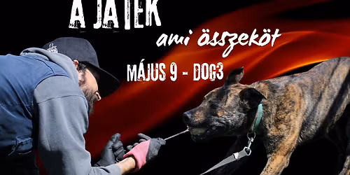 A J\u00c1T\u00c9K - ami \u00f6sszek\u00f6t