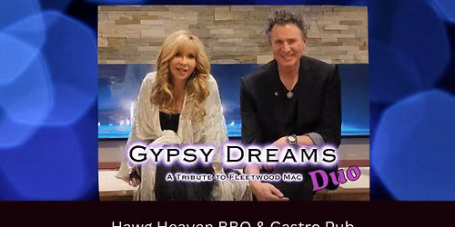 Gypsy Dreams Duo - Fleetwood Mac & Stevie Nicks Tribute - Dinner Show