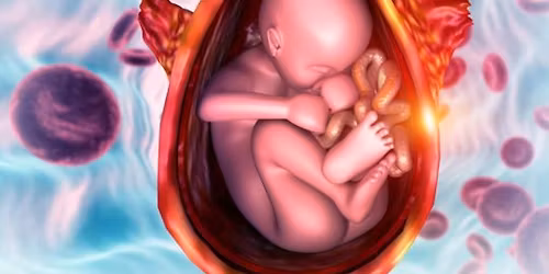 urine infection during pregnancy