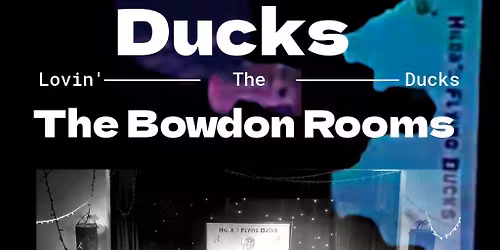 Hilda's Flying Ducks