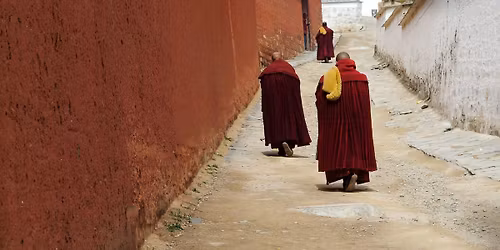 Droga pod stopami, czyli spacer sensoryczny lub medytacja chodzona z Ani\u0105 Olszewsk\u0105 28 kwietnia 2026