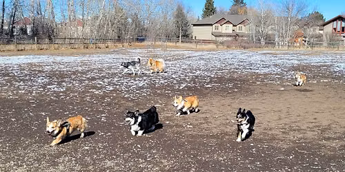 November Playdate