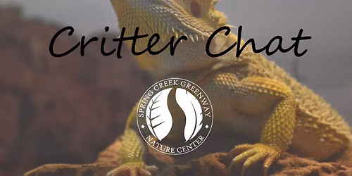 Critter Chat