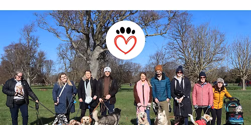 Bark & Buddy Club - Killiney Hill