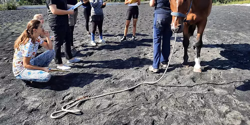 Interaktivn\u00ed DEMO Masterson Method + z\u00e1klady palpace s anatomi\u00ed s Ivanou Zaj\u00ed\u010dkovou