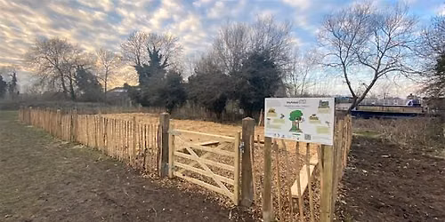 Meadow Lane, Oxford Tiny Forest Monitoring Day