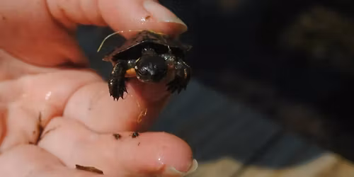 Family River Day - July 