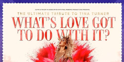 Simply The Best - Tina Turner Tribute