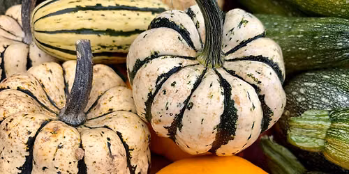 Riverwalk Market Fair: Halloween!
