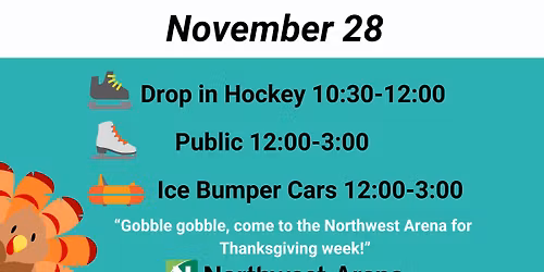 Thanksgiving Holiday Ice Bumper Cars & Public Skate-Friday