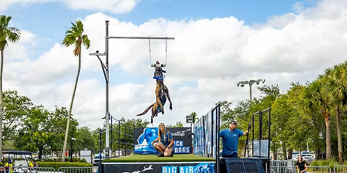 DockDogs\u00ae at Florida Outdoor Expo |  Wild Card!