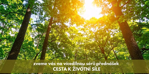 Cesta k \u017eivotn\u00ed s\u00edle: Bolest zad, \u00fanava, \u0161patn\u00fd sp\u00e1nek - jak z toho ven p\u0159irozen\u011b