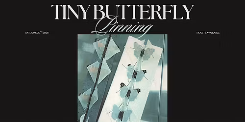 Working With Tiny Butterflies Workshop