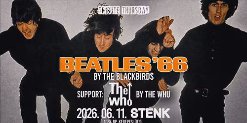 The Beatles '66 by The BlackBirds \ud83d\udca5 The Who by The Whu \ud83d\udca5 STENK