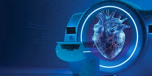 The 4th Annual CT-guided PCI Summit