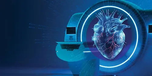 The 4th Annual CT-guided PCI Summit