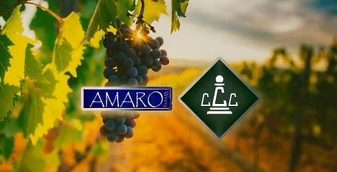 Chess Tournament at Amaro Winery