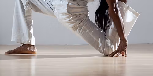 Foundations of Mastery \u2013 Himalayan Hatha Yoga with Yogi Ashokananda
