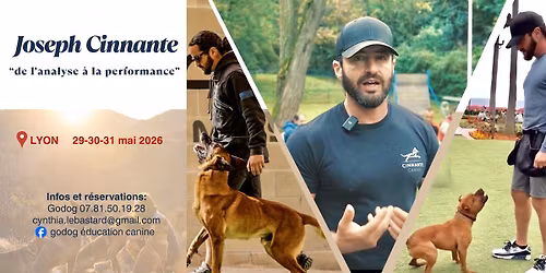 Stage Joseph Cinnante