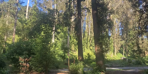 Nature Walk