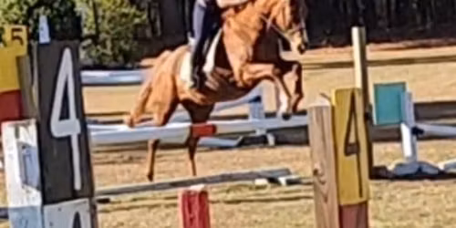 Sandhills Starter Arena Eventing